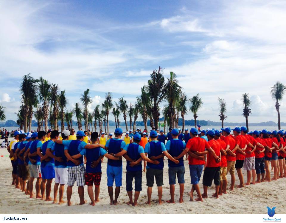 Công ty Cổ phần G&P Mama Sữa Non - Ảnh 2