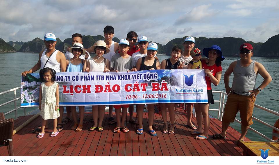 Công ty cổ phần TTB Nha khoa Việt Đặng - Ảnh 1 Công ty cổ phần TTB Nha khoa Việt Đặng - Ảnh 1