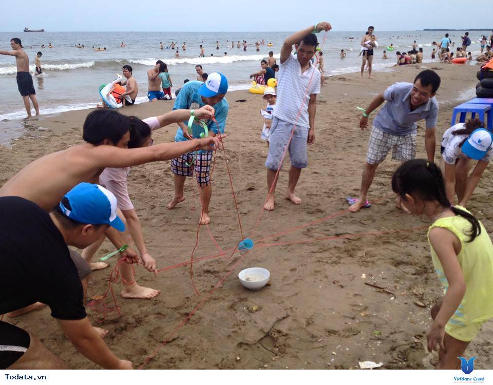 Công ty TMDV Đất Mới - Ảnh 2 Công ty TMDV Đất Mới - Ảnh 2