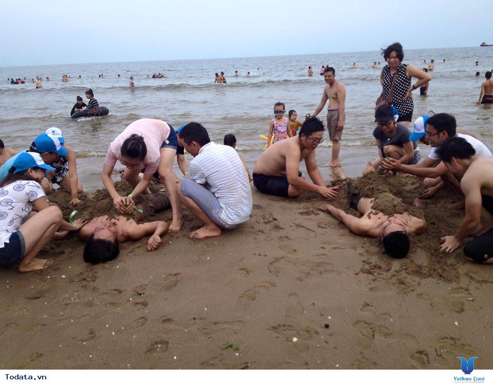 Công ty TMDV Đất Mới - Ảnh 3 Công ty TMDV Đất Mới - Ảnh 3