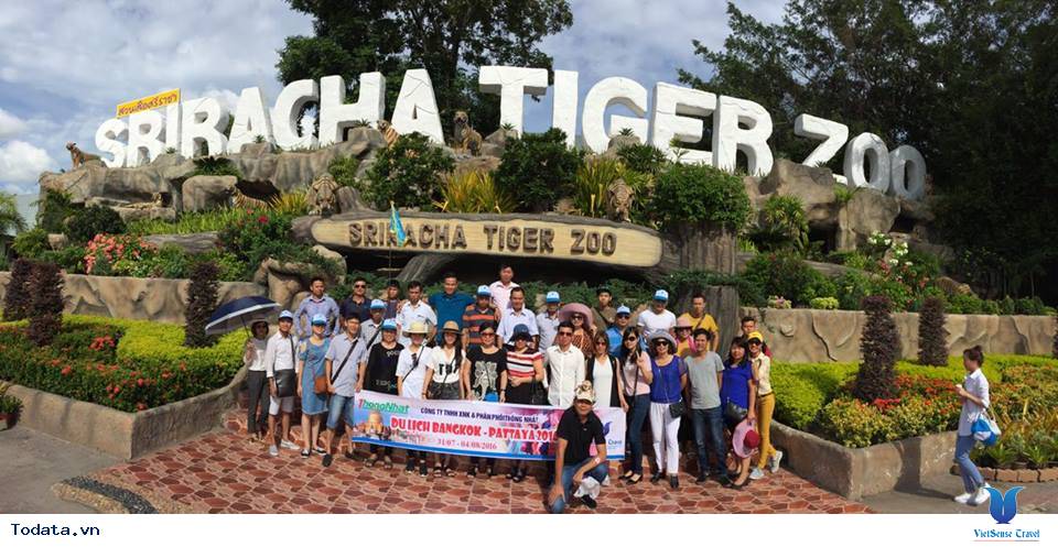 Công ty TNHH XNK và Phân phối Thống Nhất - Ảnh 2