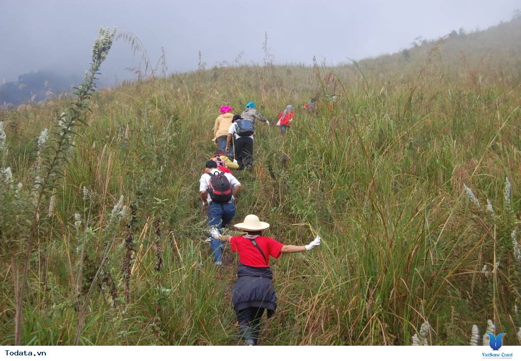 Cột Mốc Ngã Ba Biên Giới A Pa Chải - Ảnh 2