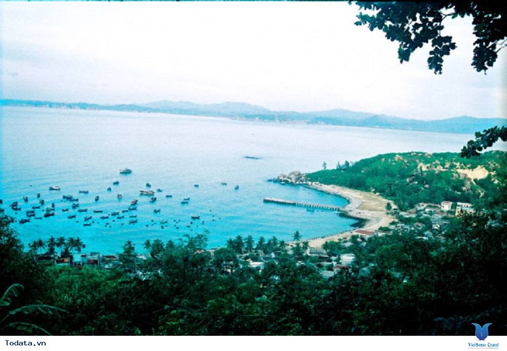 Cù Lao Xanh, hòn ngọc biển đông của Bình Định - Ảnh 2 Cù Lao Xanh, hòn ngọc biển đông của Bình Định - Ảnh 2