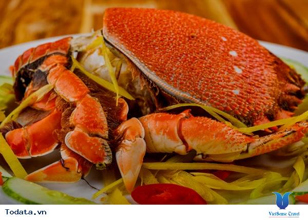 Cua Huỳnh Đế - Món Ngon Đặc Biệt Của Riêng Biển Nha Trang - Ảnh 5