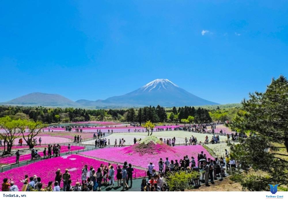 Cung đường rồng bay Shoryudo ở Nhật Bản-trải nghiệm thú vị nhất hiện nay - Ảnh 1 Cung đường rồng bay Shoryudo ở Nhật Bản-trải nghiệm thú vị nhất hiện nay - Ảnh 1