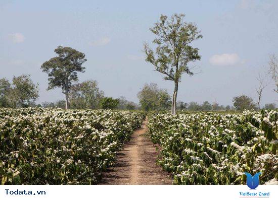 Cùng trải nghiệm du lịch Đắk Lắk - Ảnh 5