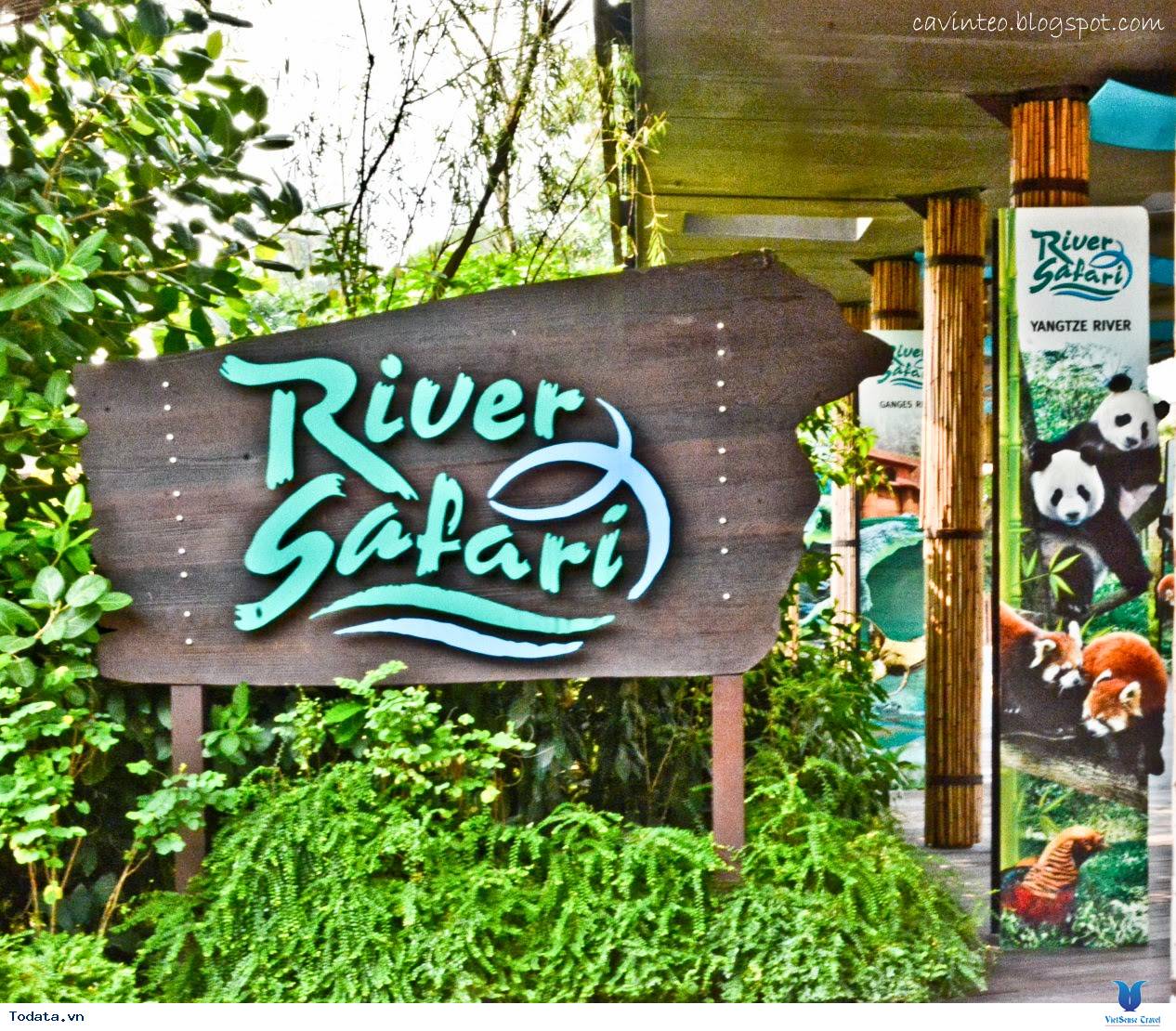 Cùng Xuôi Dòng Trên River Safari Singapore - Ảnh 1 Cùng Xuôi Dòng Trên River Safari Singapore - Ảnh 1