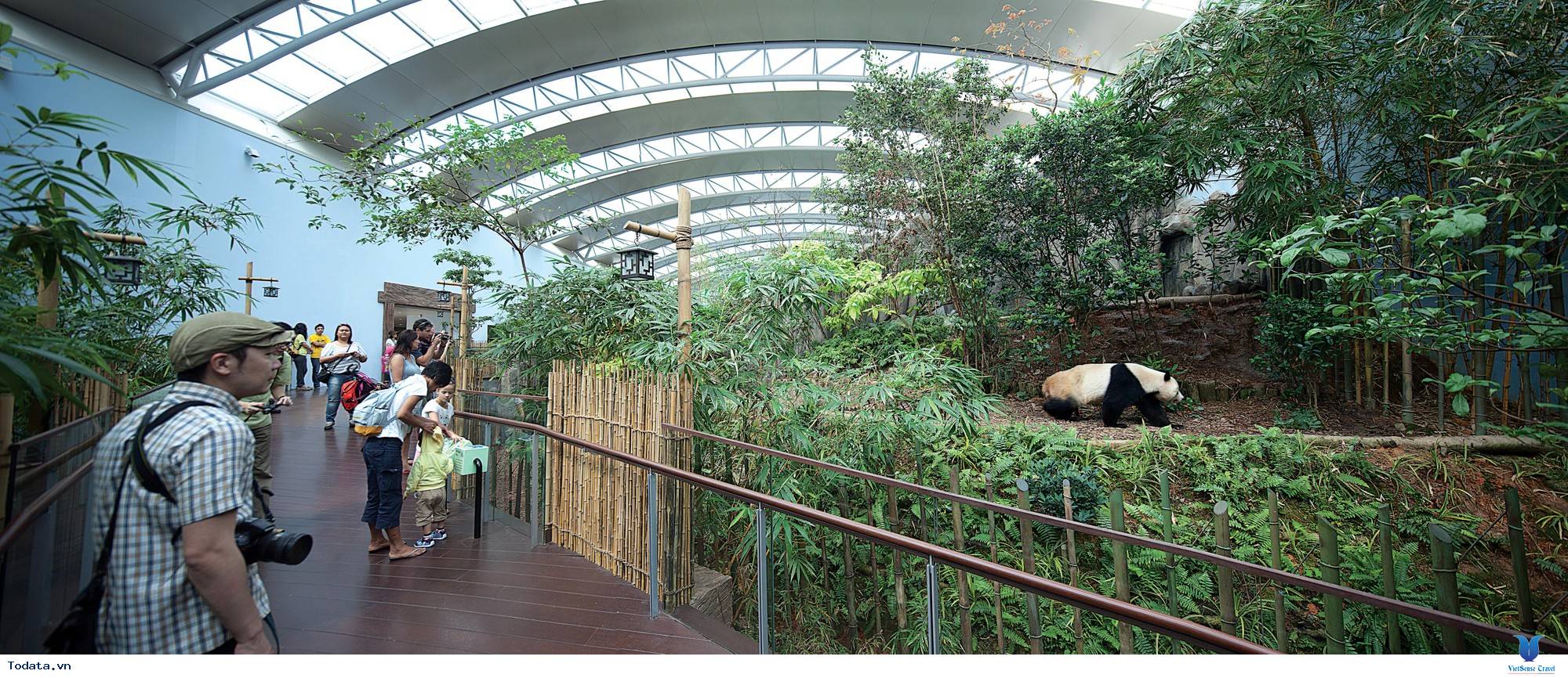 Cùng Xuôi Dòng Trên River Safari Singapore - Ảnh 6 Cùng Xuôi Dòng Trên River Safari Singapore - Ảnh 6