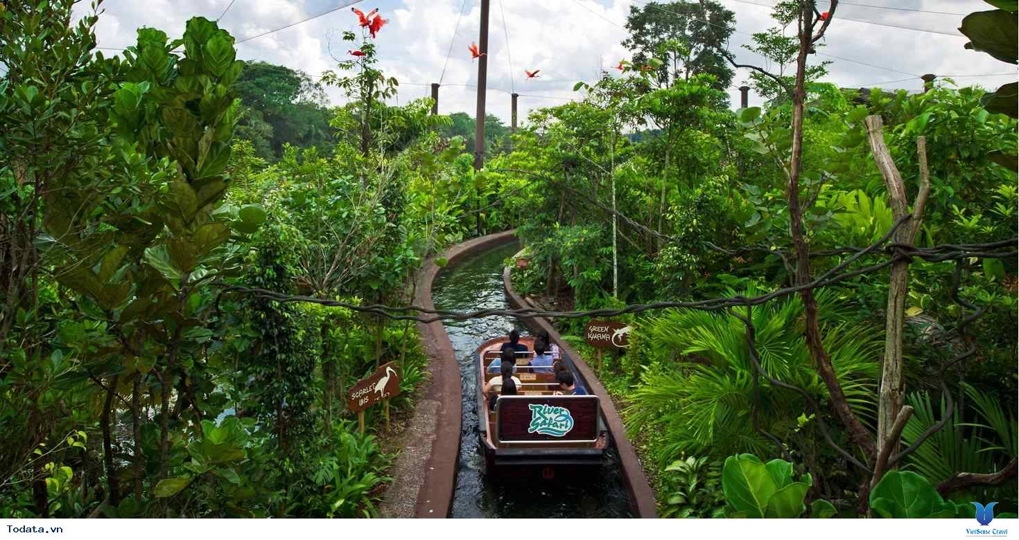 Cùng Xuôi Dòng Trên River Safari Singapore - Ảnh 5 Cùng Xuôi Dòng Trên River Safari Singapore - Ảnh 5