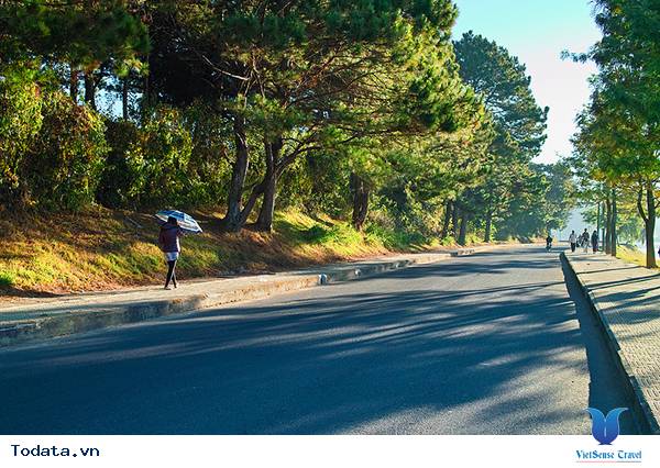 Đà Lạt Mờ Sương, Dịu Dàng Những Ngày Thu - Ảnh 2 Đà Lạt Mờ Sương, Dịu Dàng Những Ngày Thu - Ảnh 2