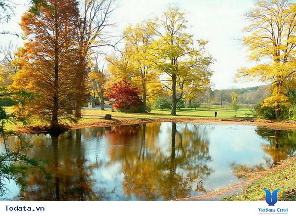 Đà Lạt Mờ Sương, Dịu Dàng Những Ngày Thu - Ảnh 3 Đà Lạt Mờ Sương, Dịu Dàng Những Ngày Thu - Ảnh 3