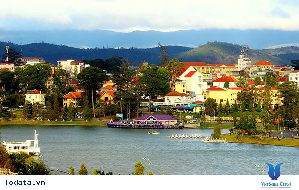 Đà Lạt Mờ Sương, Dịu Dàng Những Ngày Thu - Ảnh 4 Đà Lạt Mờ Sương, Dịu Dàng Những Ngày Thu - Ảnh 4