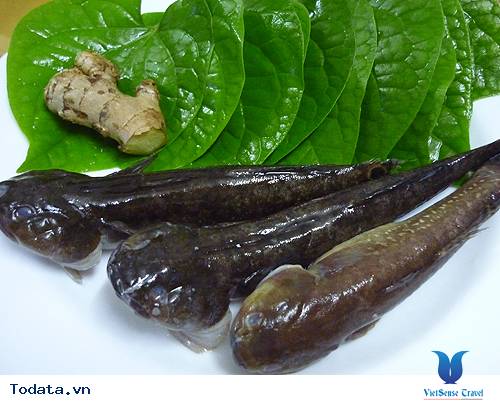 Đặc Sắc Ẩm Thực Đồ Sơn - Ảnh 8 Đặc Sắc Ẩm Thực Đồ Sơn - Ảnh 8