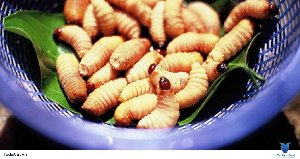 Đặc sản đuông dừa đắt sắt ra miếng ở Bến Tre - Ảnh 2 Đặc sản đuông dừa đắt sắt ra miếng ở Bến Tre - Ảnh 2