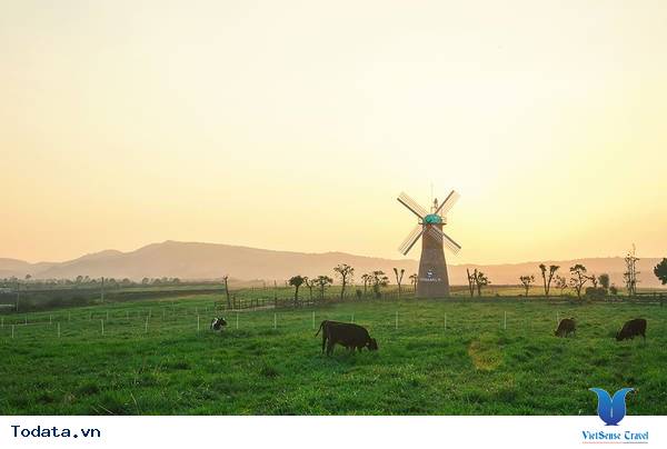 Dalat Milk Farm- Điểm Đến Cực Mới Khi Tới Đà Lạt - Ảnh 10