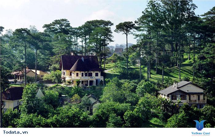 Dalat Milk Farm- Điểm Đến Cực Mới Khi Tới Đà Lạt - Ảnh 3