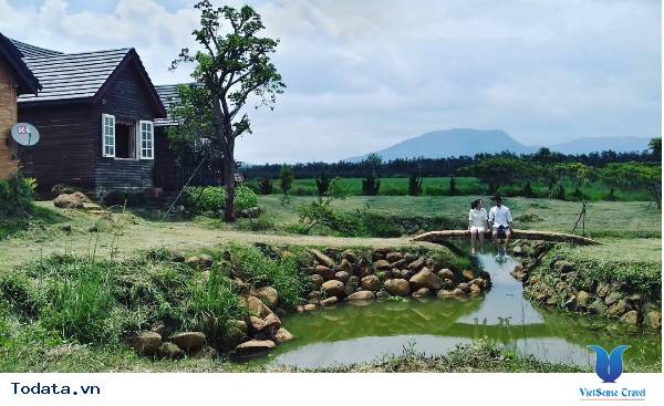 Dalat Milk Farm- Điểm Đến Cực Mới Khi Tới Đà Lạt - Ảnh 6