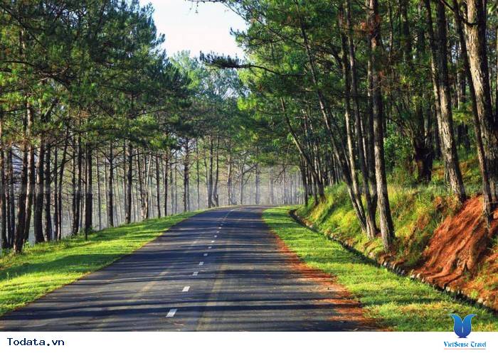 Dalat Milk Farm- Điểm Đến Cực Mới Khi Tới Đà Lạt - Ảnh 8