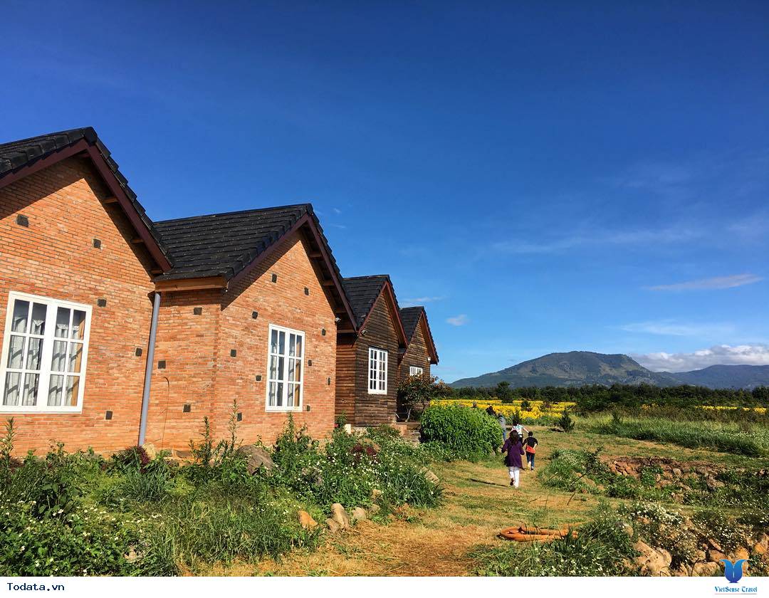 Dalat Milk Farm- Điểm Đến Cực Mới Khi Tới Đà Lạt - Ảnh 9