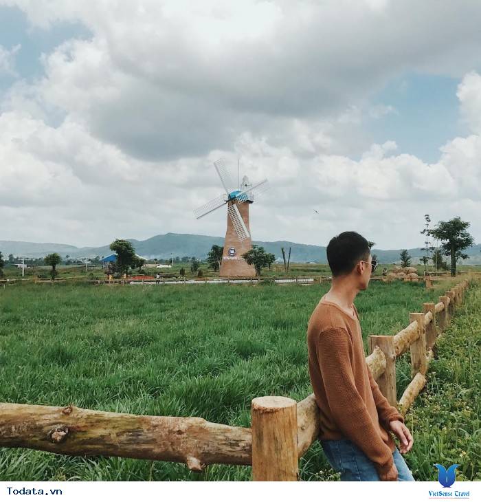 Dalat Milk Farm- Điểm Đến Cực Mới Khi Tới Đà Lạt - Ảnh 5