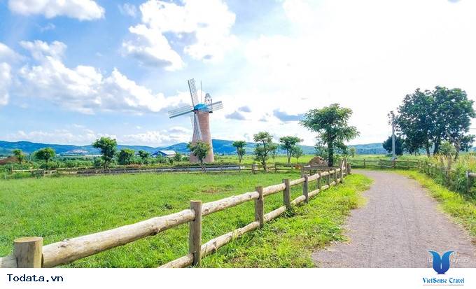 Dalat Milk Farm- Điểm Đến Cực Mới Khi Tới Đà Lạt - Ảnh 2