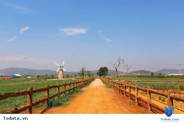 Dalat Milk Farm- Điểm Đến Cực Mới Khi Tới Đà Lạt - Ảnh 11