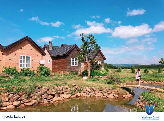 Dalat Milk Farm- Điểm Đến Cực Mới Khi Tới Đà Lạt - Ảnh 4