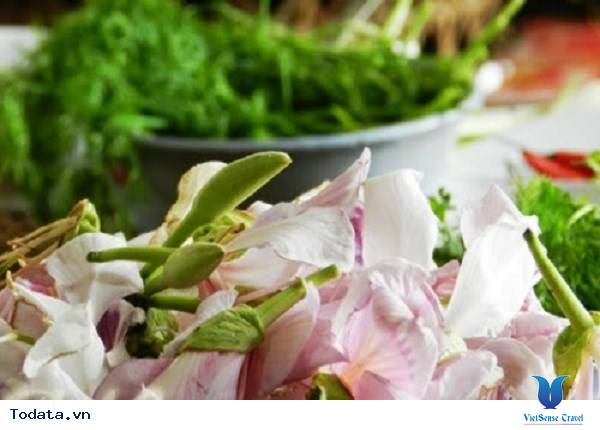 Đắm Say Ẩm Thực Hoa Ban Điện Biên - Ảnh 1