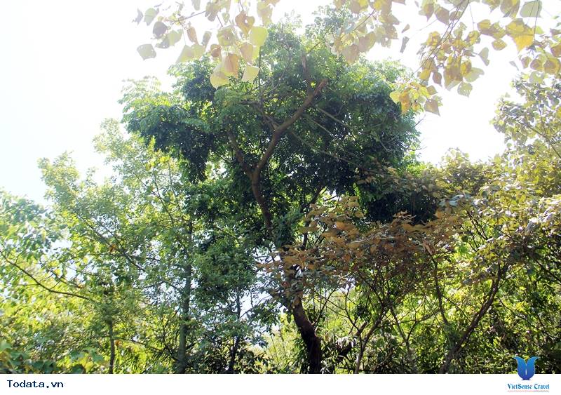 Đảo Ba Mùn, Viên Ngọc Xanh Của Biển Quan Lạn - Ảnh 6