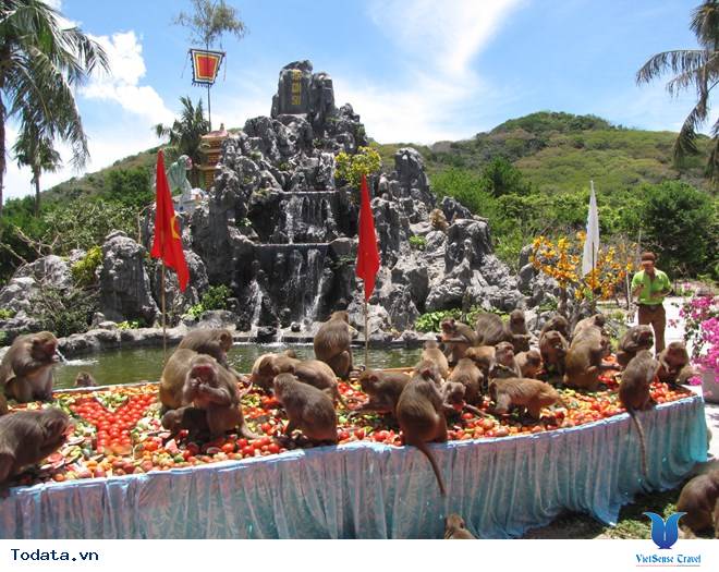 Đảo Khỉ Nha Trang - Ảnh 3