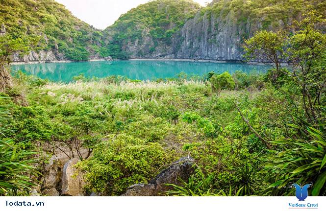 Đảo Mắt Rồng (Quảng Ninh) – Vẻ đẹp kỳ bí độc đáo - Ảnh 1