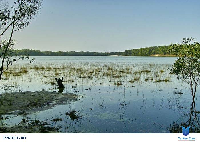 Dạo Quanh Hồ Nước Ngọt Bàu Tró Quảng Bình - Ảnh 6 Dạo Quanh Hồ Nước Ngọt Bàu Tró Quảng Bình - Ảnh 6