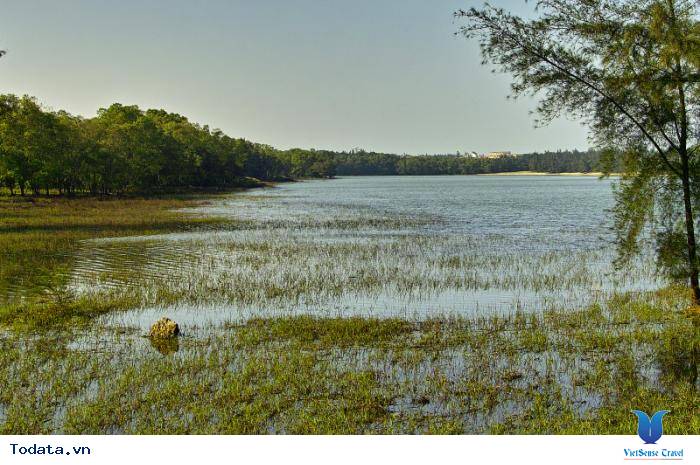 Dạo Quanh Hồ Nước Ngọt Bàu Tró Quảng Bình - Ảnh 2 Dạo Quanh Hồ Nước Ngọt Bàu Tró Quảng Bình - Ảnh 2