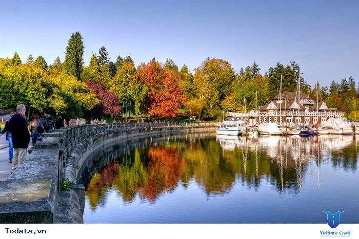 Đảo Vancouver, một trong ba hòn đảo đẹp nhất thế giới - Ảnh 3 Đảo Vancouver, một trong ba hòn đảo đẹp nhất thế giới - Ảnh 3