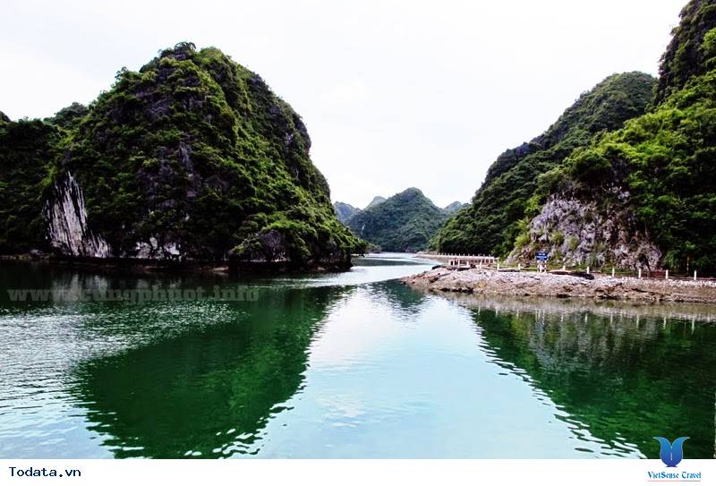 Đến Cát Bà Một Ngày Mùa Đông - Ảnh 3