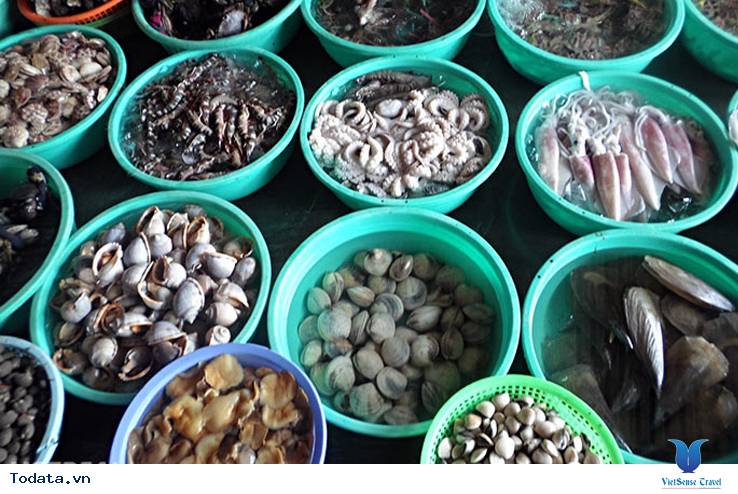 Đến Cát Bà Một Ngày Mùa Đông - Ảnh 6