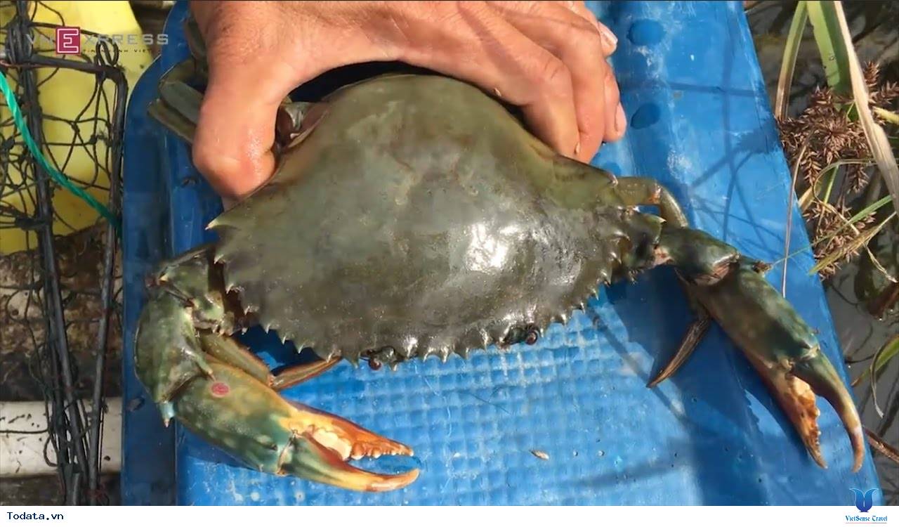 Đến Cô Tô Mua Gì Về Làm Quà - Ảnh 6 Đến Cô Tô Mua Gì Về Làm Quà - Ảnh 6