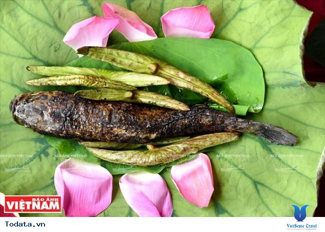 Đến Đồng Sen Gò Tháp ngắm cảnh và thưởng thức ẩm thực miệt vườn - Ảnh 2