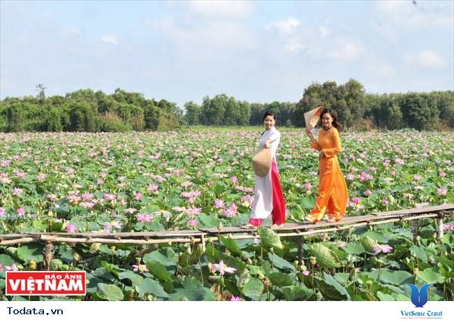 Đến Đồng Sen Gò Tháp ngắm cảnh và thưởng thức ẩm thực miệt vườn - Ảnh 1