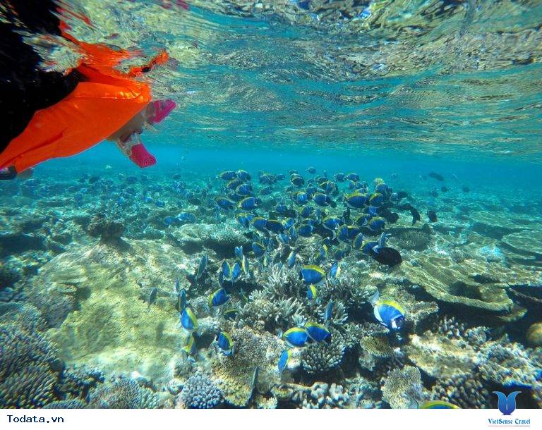 Đến Maldives khám phá Banana Reef - Ảnh 1