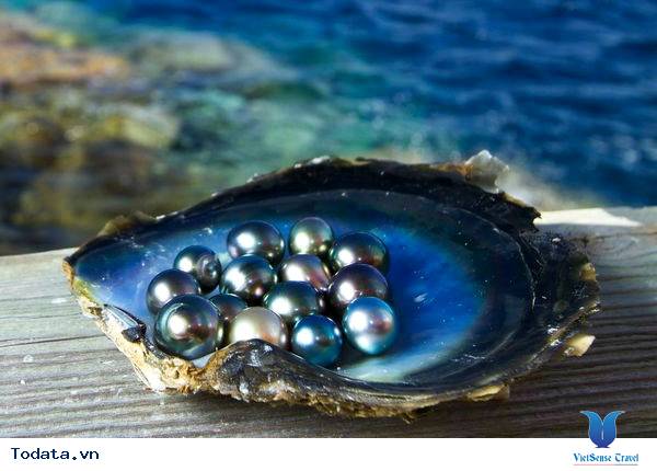 Đến Phú Quốc tìm mua ngọc trai chuẩn xịn