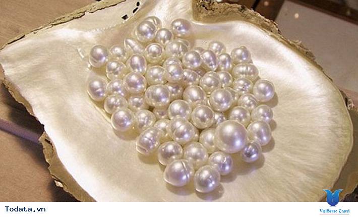 Đến Phú Quốc tìm mua ngọc trai chuẩn xịn - Ảnh 2