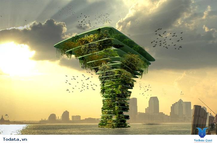 Đến với Maldives không thể không biết đến bông hoa đại dương - Ảnh 1