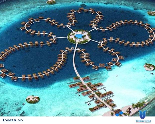 Đến với Maldives không thể không biết đến bông hoa đại dương - Ảnh 2