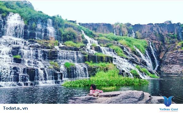 Đến Với Nam Phương Đệ Nhất Thác Pongour - Ảnh 10