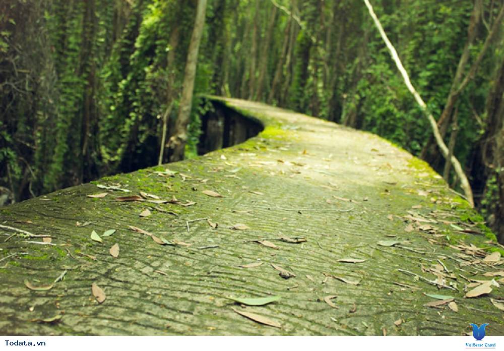 Đi du lịch miền Tây khám phá những điều mới mẻ, hấp dẫn - Ảnh 2 Đi du lịch miền Tây khám phá những điều mới mẻ, hấp dẫn - Ảnh 2