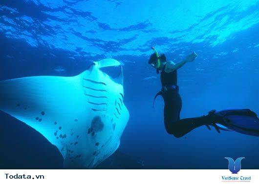 Điểm danh những địa điểm nổi tiếng của Maldives. - Ảnh 3 Điểm danh những địa điểm nổi tiếng của Maldives. - Ảnh 3