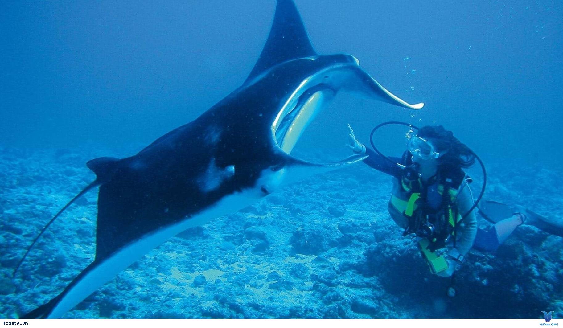 Điểm danh những địa điểm nổi tiếng của Maldives. - Ảnh 1 Điểm danh những địa điểm nổi tiếng của Maldives. - Ảnh 1