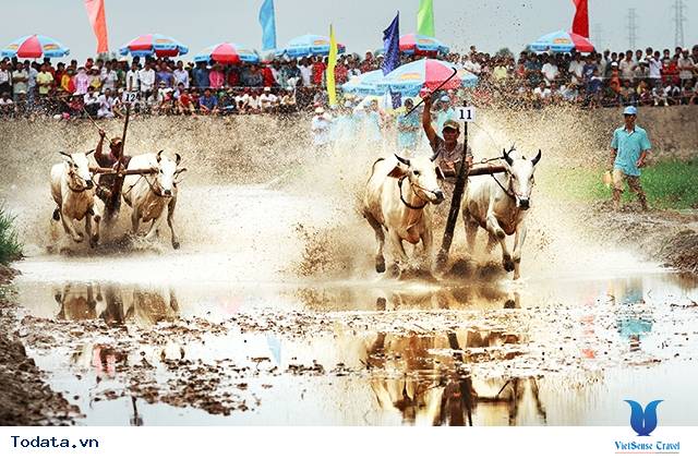 Điểm đến hấp dẫn của du lịch miền Tây Nam Bộ - Ảnh 1