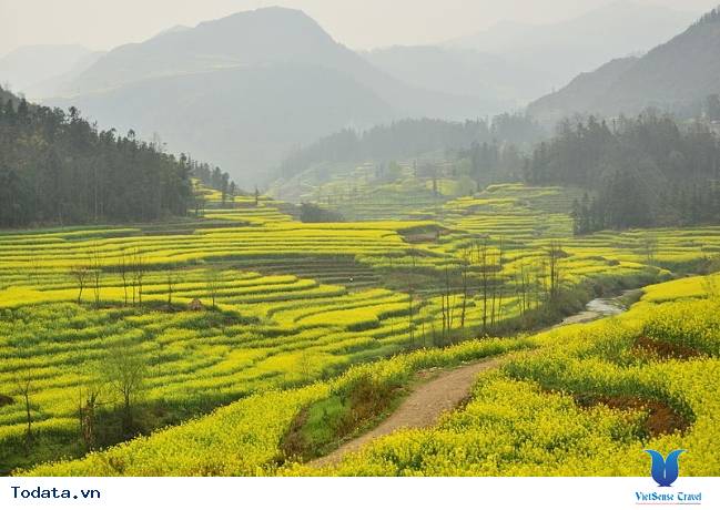 Điểm ngắm hoa tuyệt đẹp ở Trung Quốc - Ảnh 1